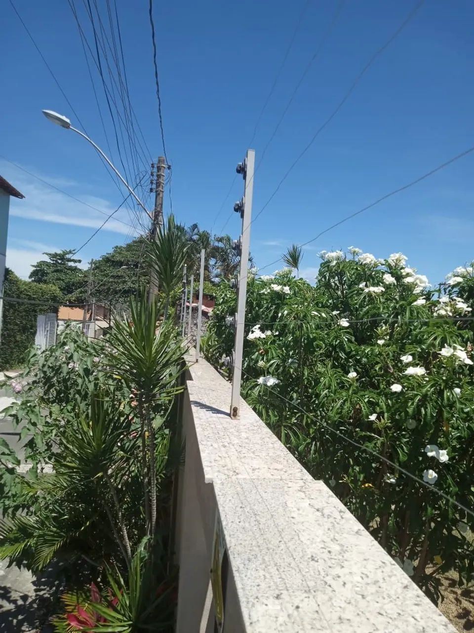 Cercas elétrica  - Foto 4