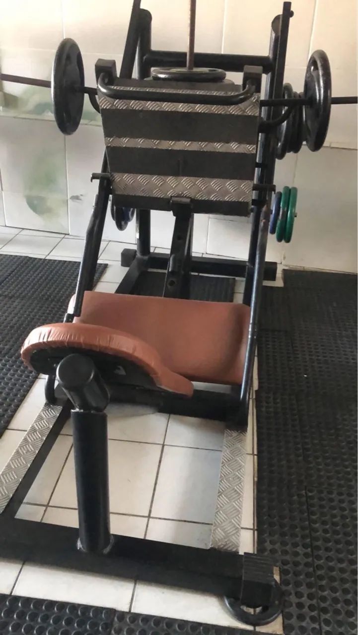 Leg presa