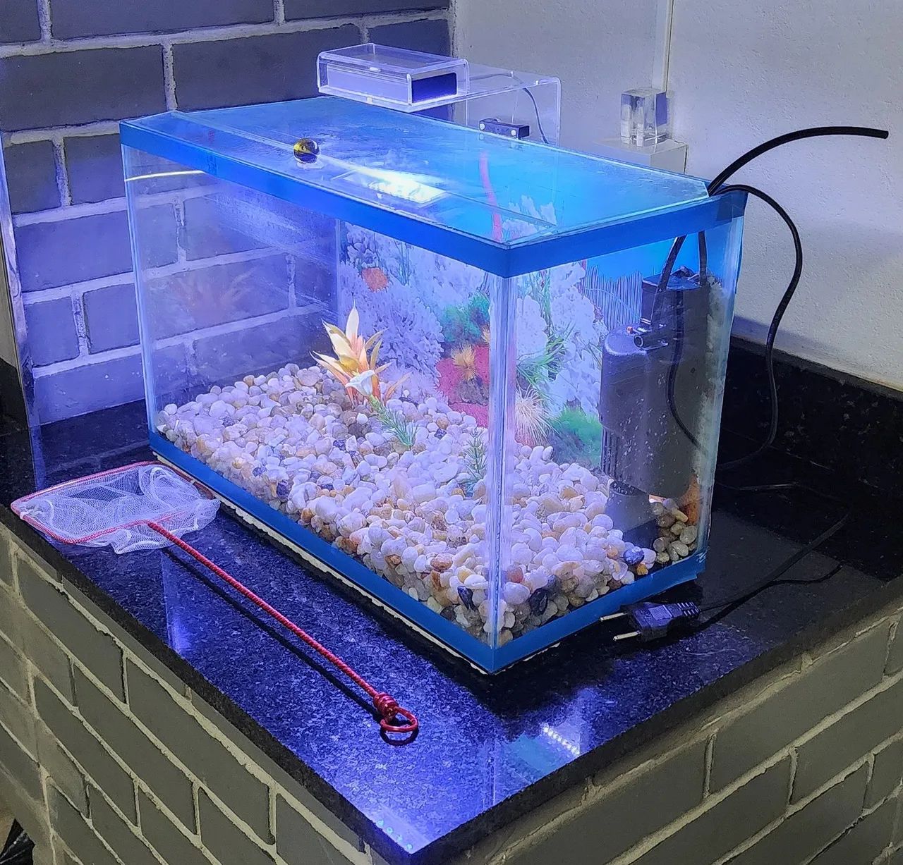 Aquário completo 28 litros - Foto 3