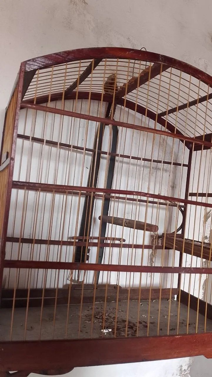 Gaiola de madeira  - Foto 3