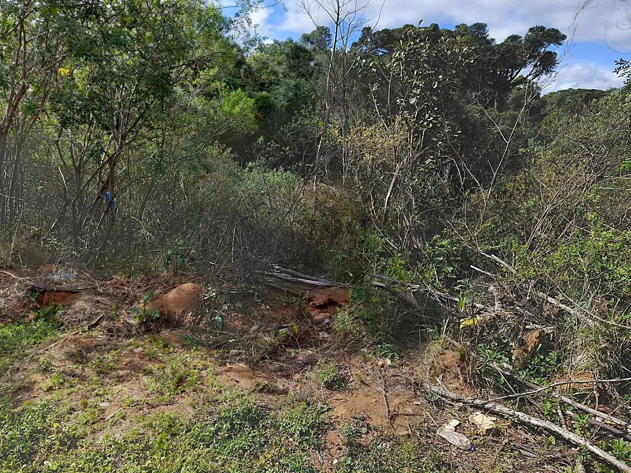 Lote campina.  - Foto 3