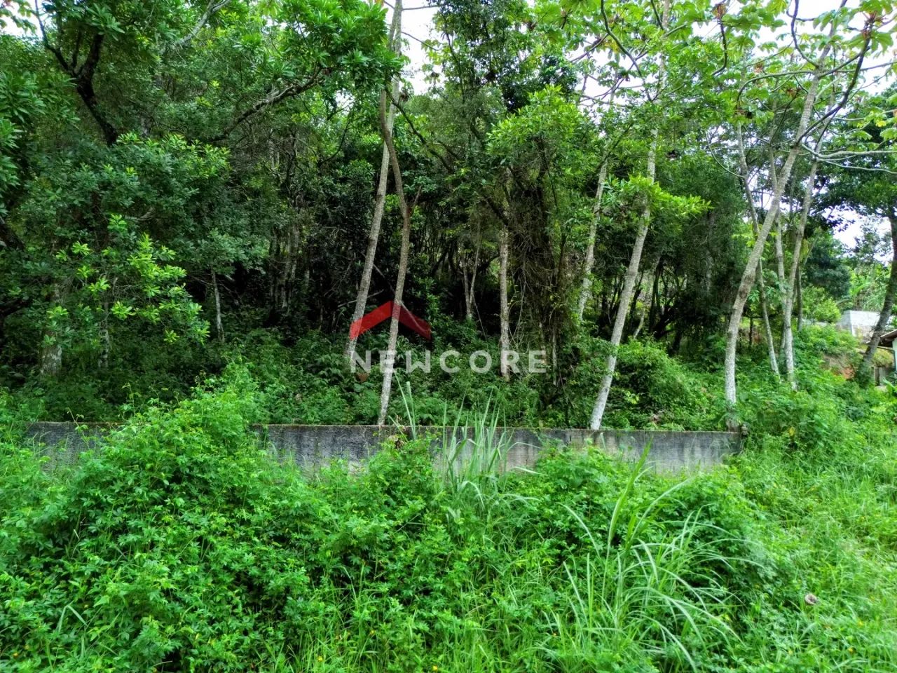 Lote em Rodovia Rafael da Rocha Pires - Sambaqui - Florianópolis/SC - Foto 4