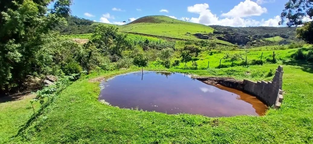 Fazenda com vinhedo em Serro 260ha maravilhosa na nascente do rio jequitinhonha - Foto 5