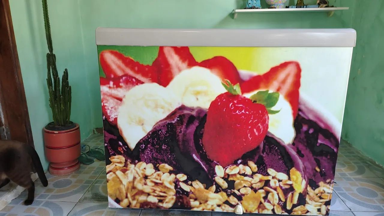 Freezer expositor Gelopar - Geladeiras e Freezers - José Conrado