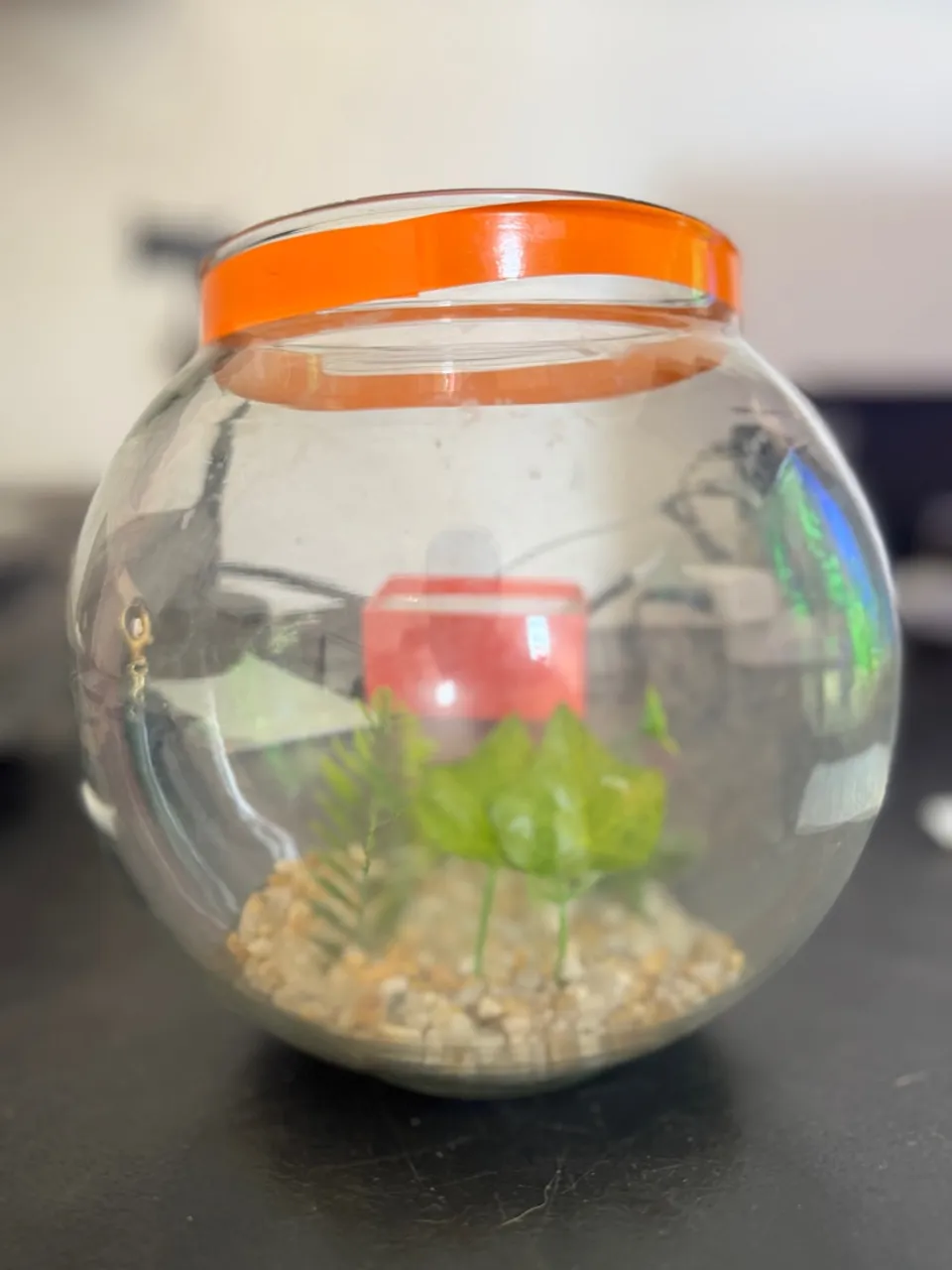 Vendo aquário para beta 3Litros