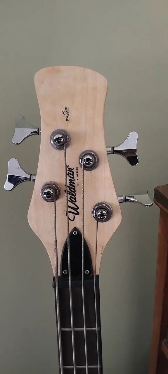 Baixo Waldman - Foto 3