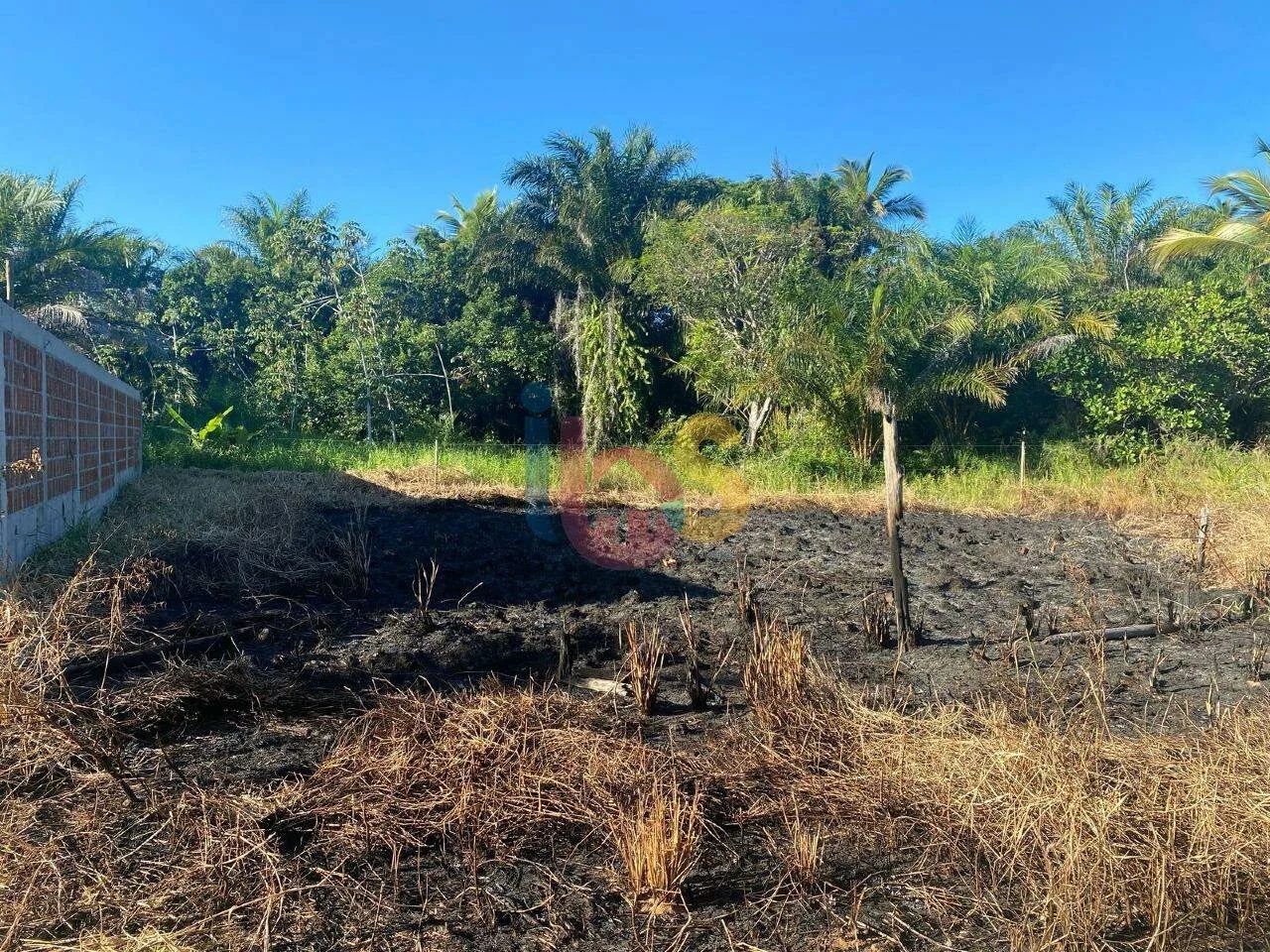 Vendo Lote na Zona Norte em Ilhéus - Foto 2