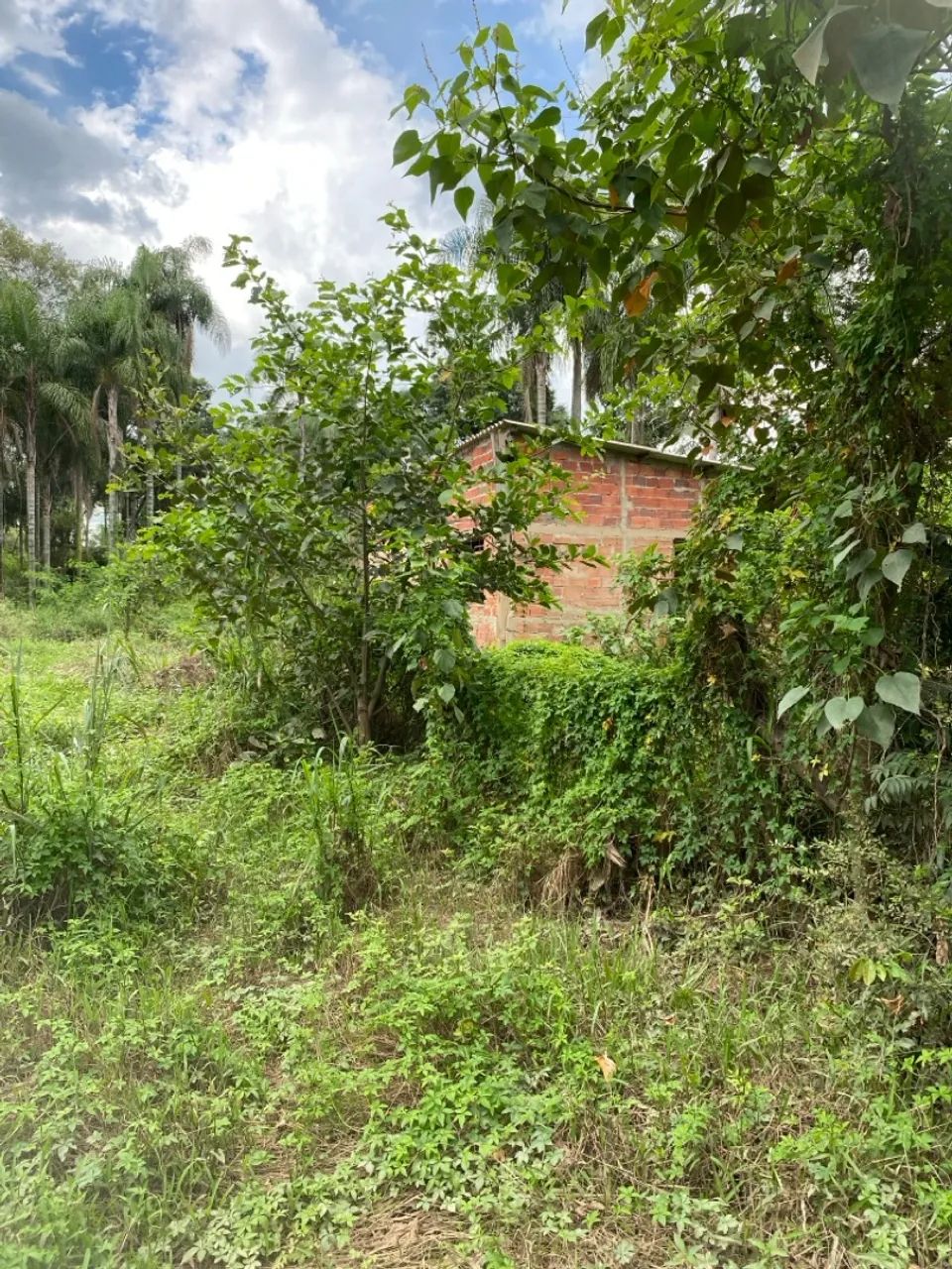 Área de 2730 metros. - Foto 3
