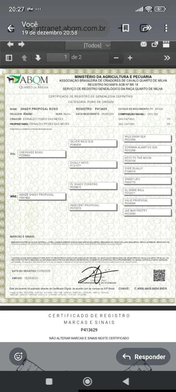 Pordo quarto de milha 12 vezes no cartão sem juros  - Foto 2