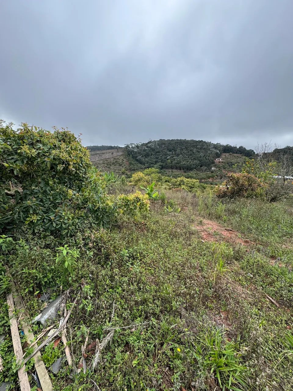 Terreno  - Foto 3