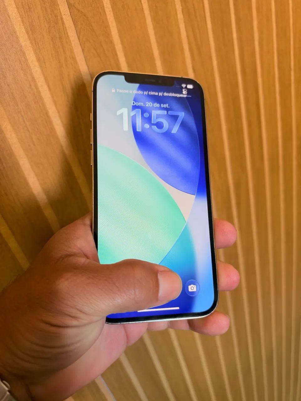 iPhone 12 Pro Max