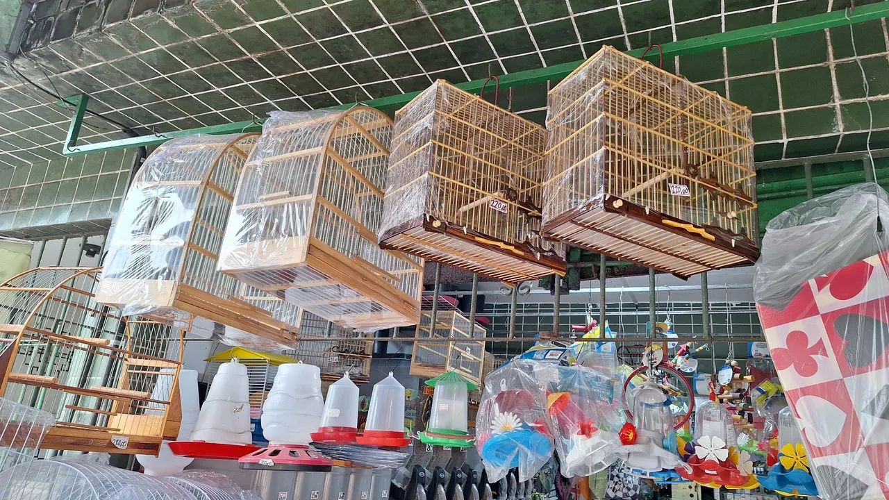 Gaiolas e assessórios  - Foto 2