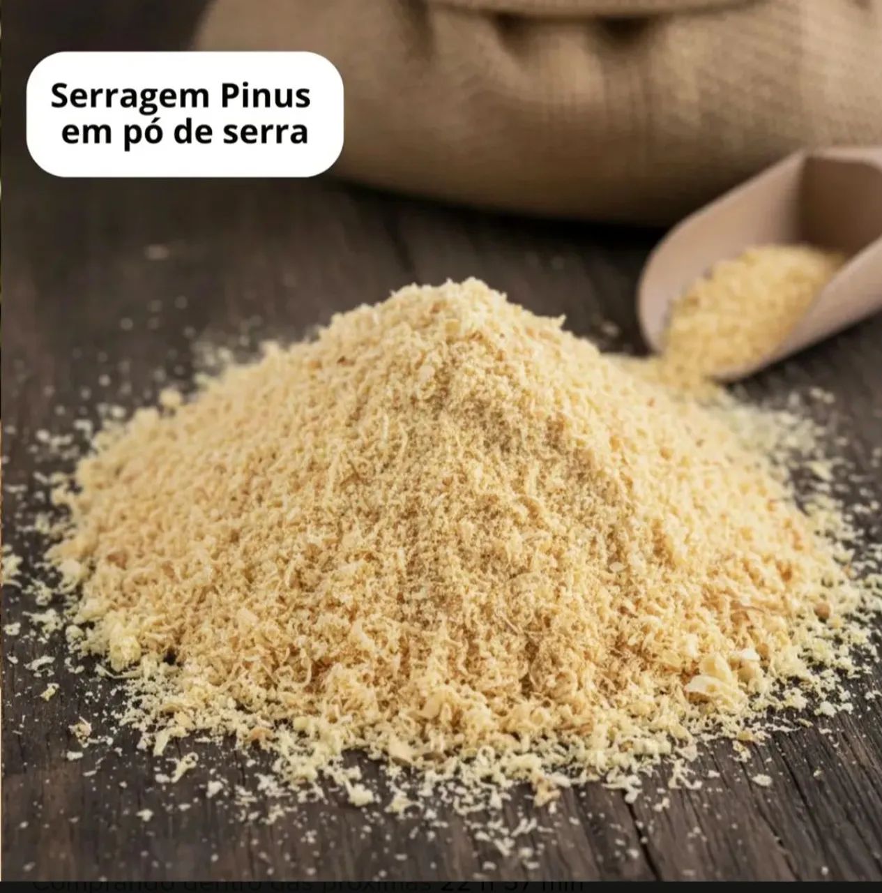SERRAGEM MADEIRA PINUS 
