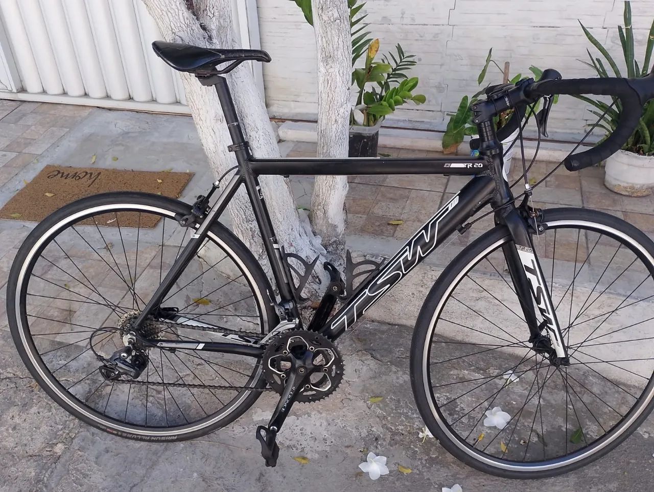 Speed TSW 54  - Foto 3