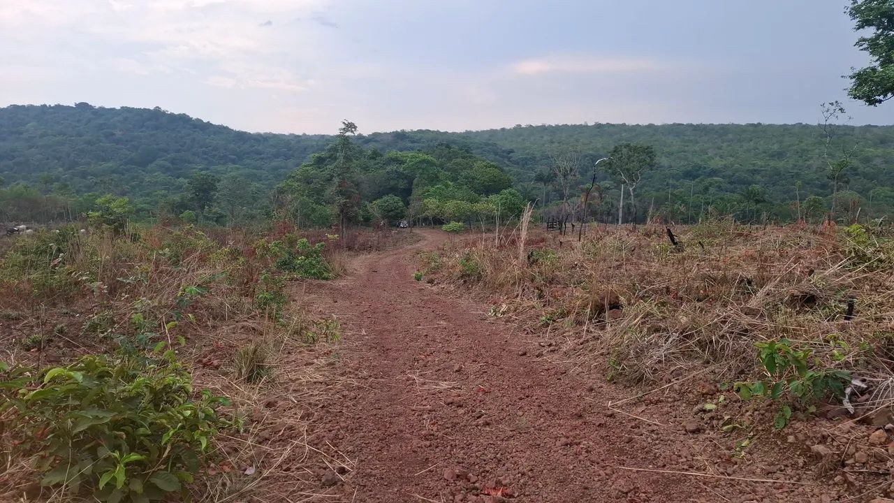 CHACARA 35KM DE PALMAS SENTIDO APARECIDA 