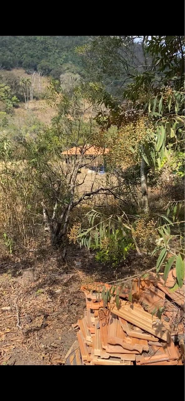 Um lugar para contemplar a natureza  - Foto 3