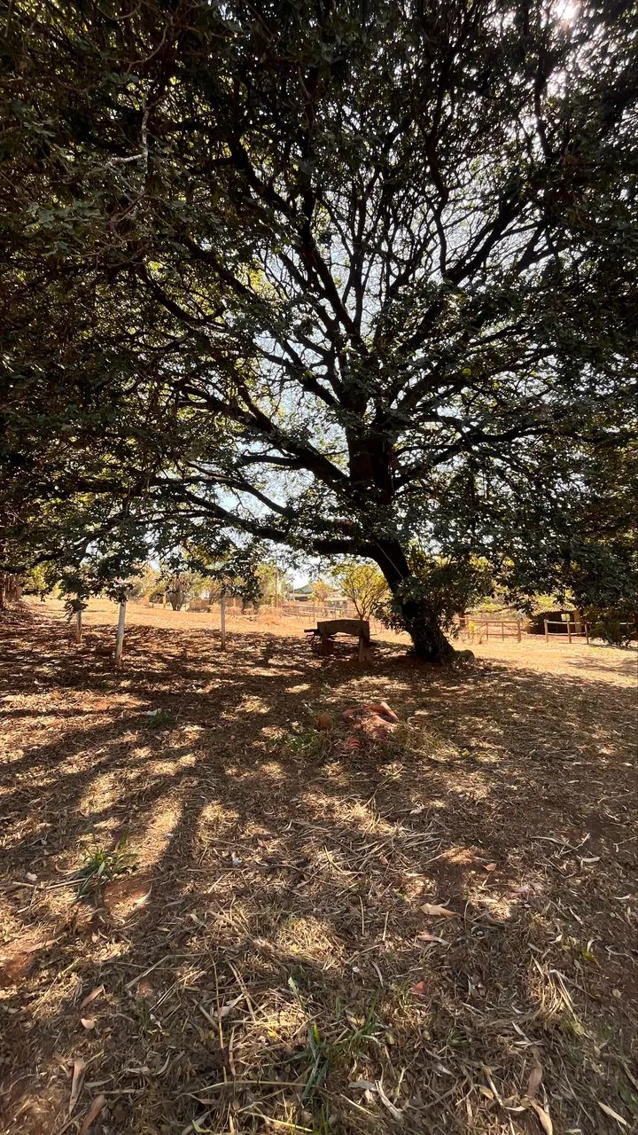 Sítio à venda  - Foto 5