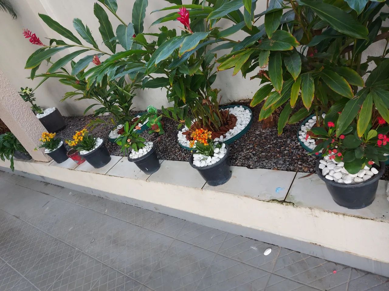 Jardineiro e paisagista  - Foto 4