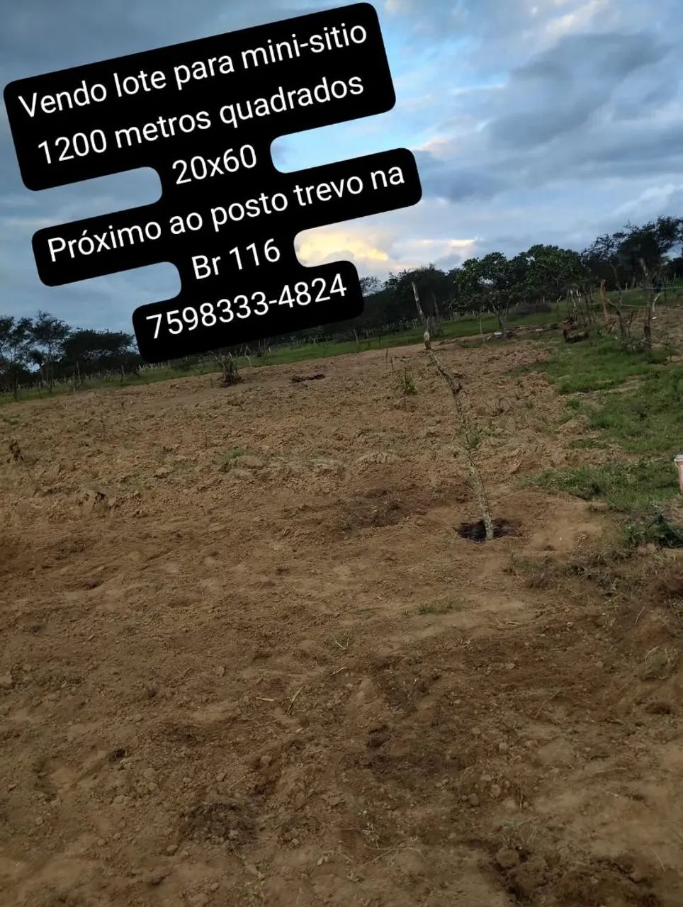 Foto - Feira de Santana - Muchila