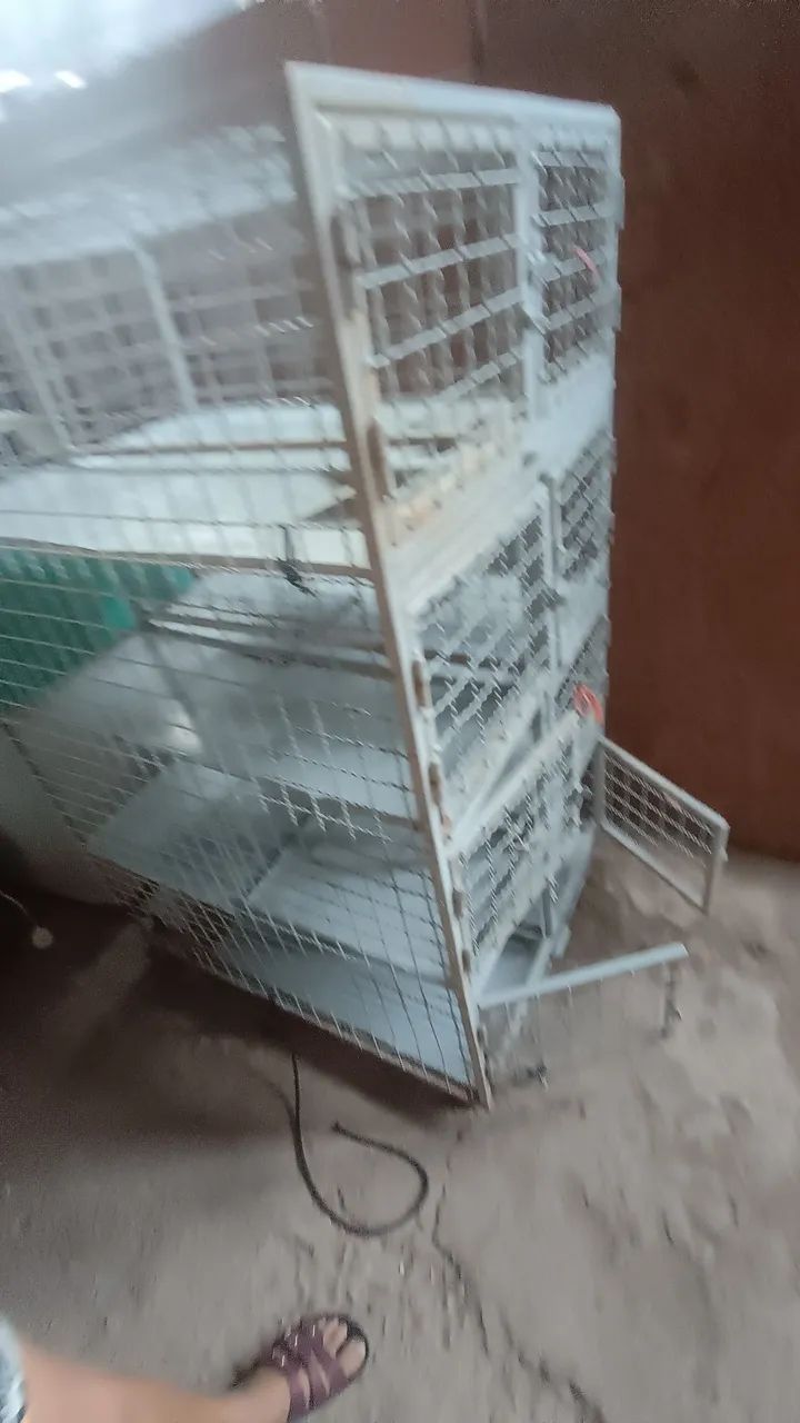 Gaiola para pet  - Foto 2