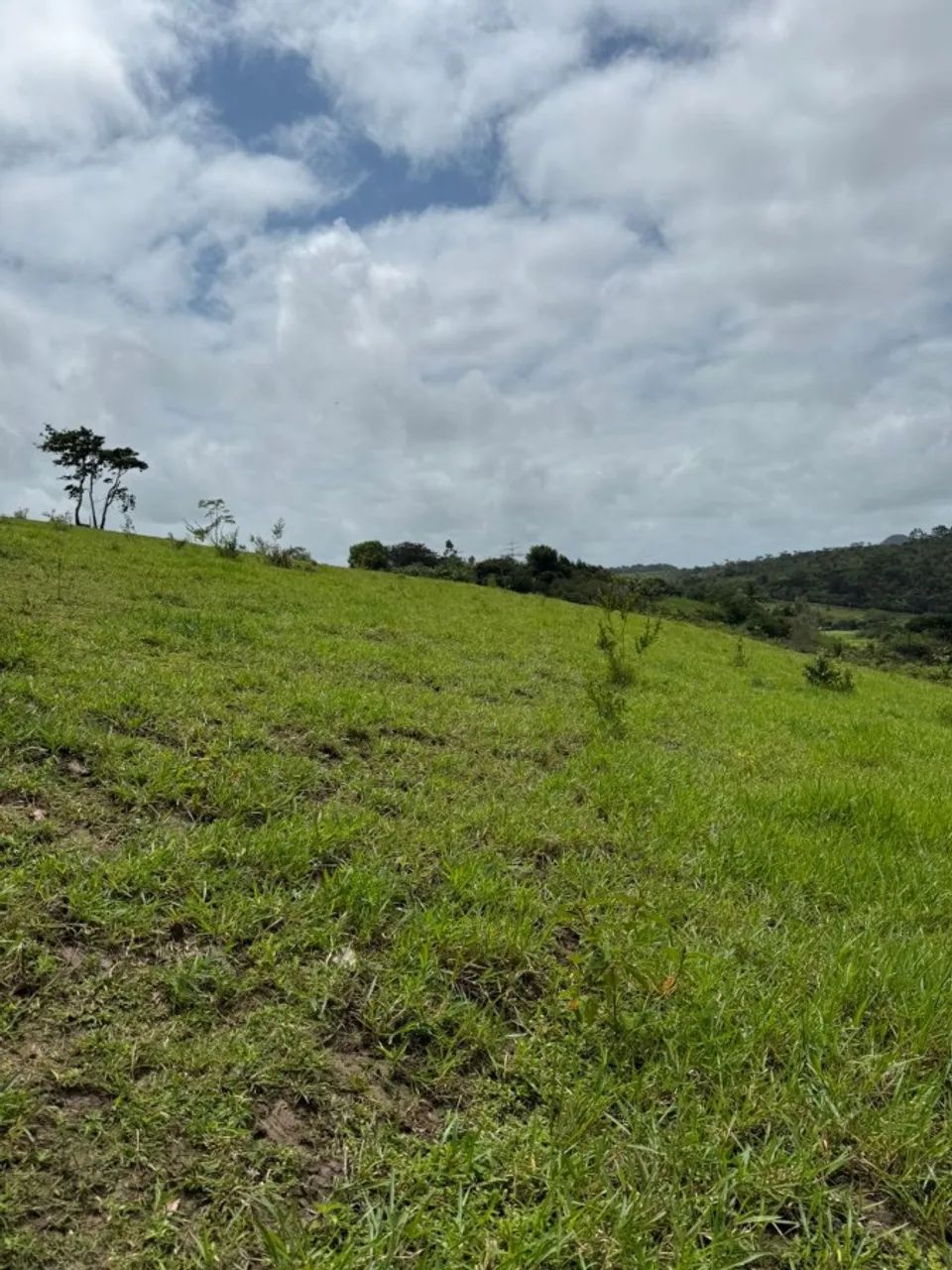Sítio para Venda em Flexeiras, Zona Rural - Foto 4