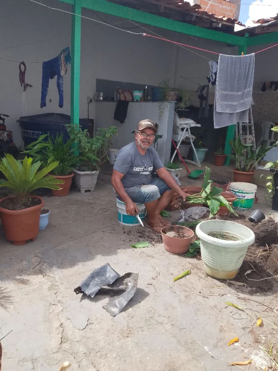 PLANTAS SERV ÇOS E JADINAGENS - Foto 2