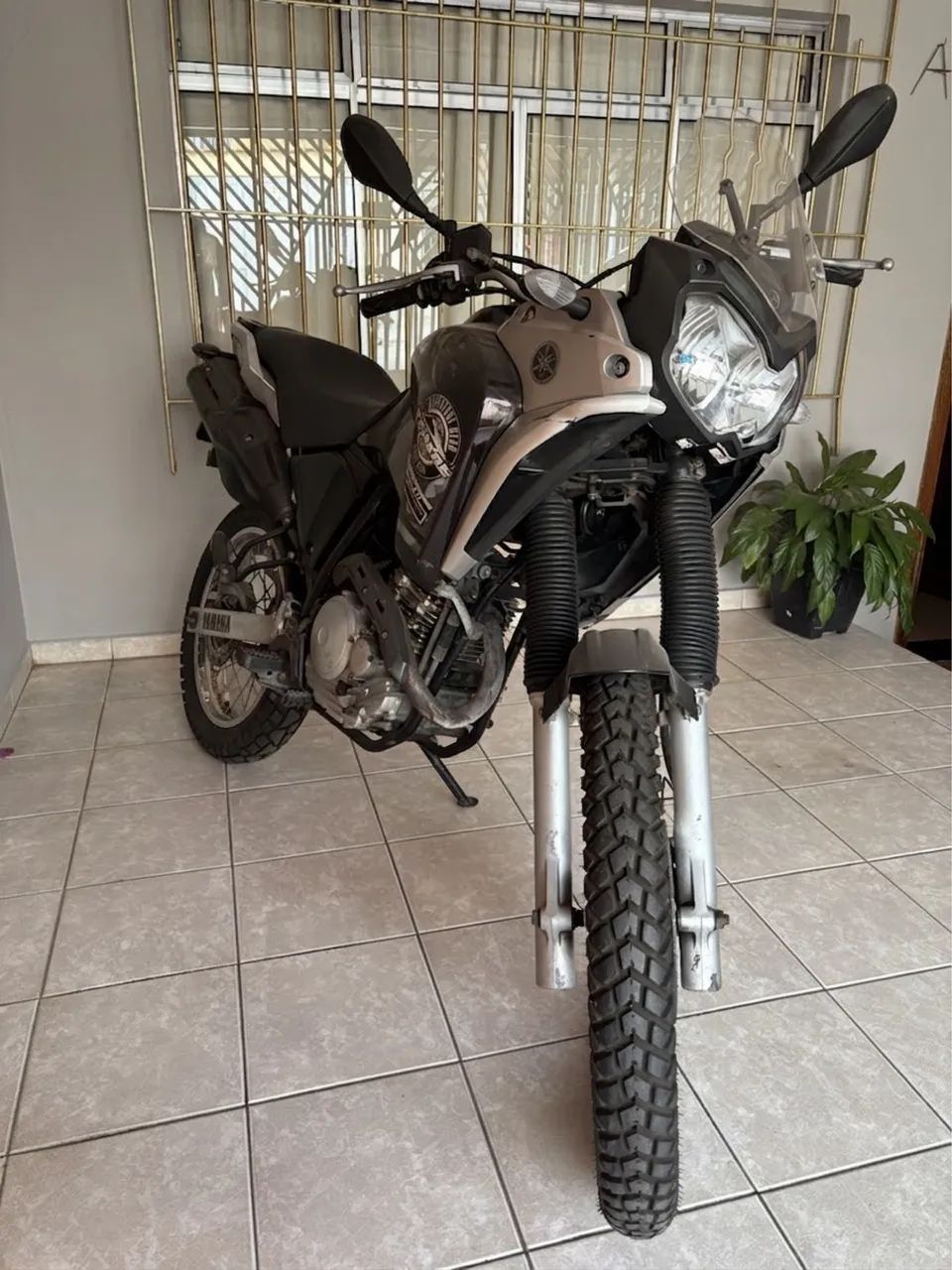 Xtz Ténéré 250 2019 - Foto 2