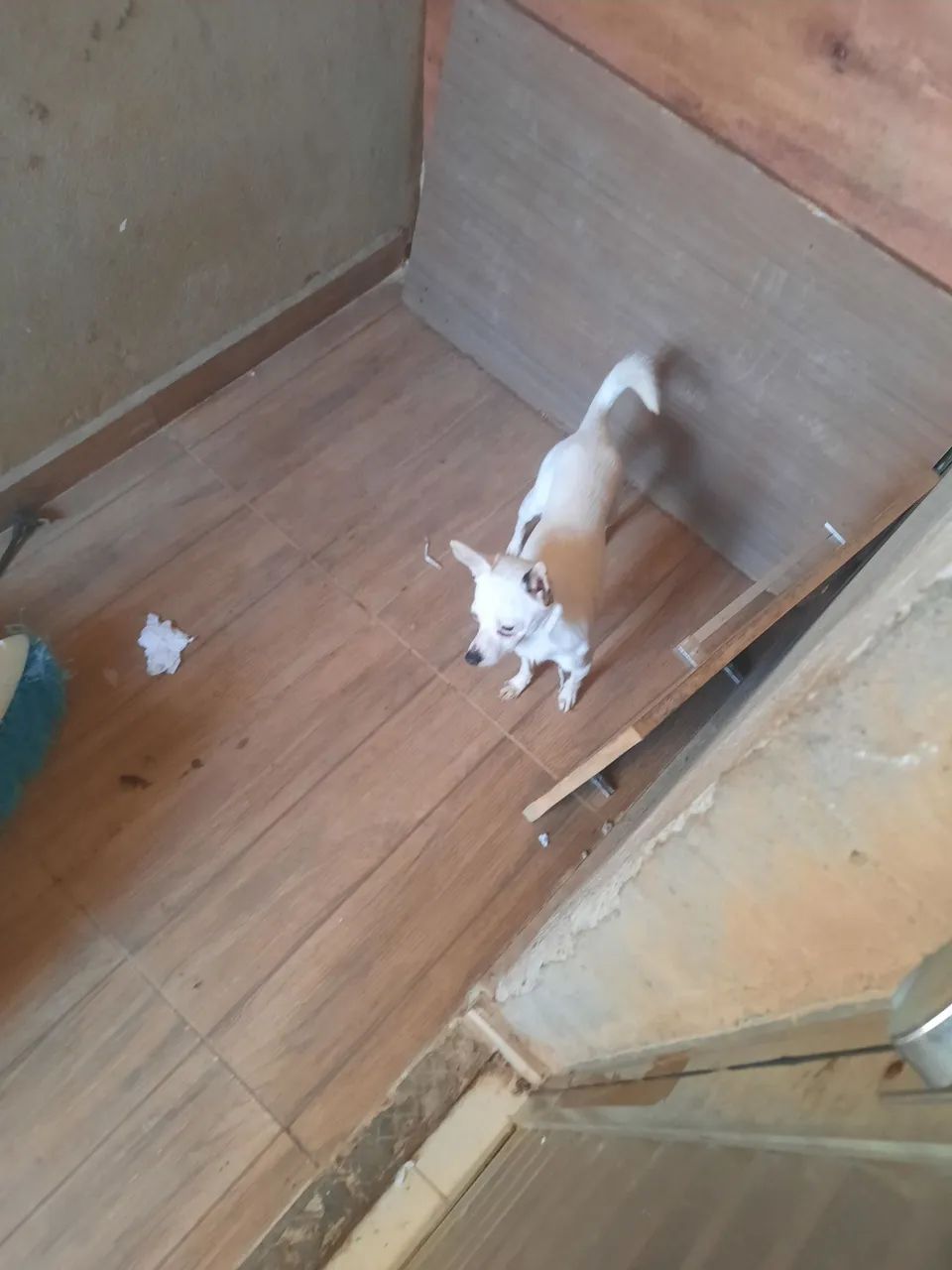  *  - Foto 2