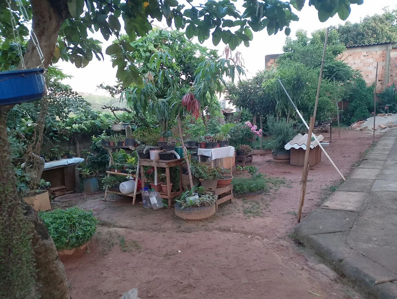 Terreno a venda.