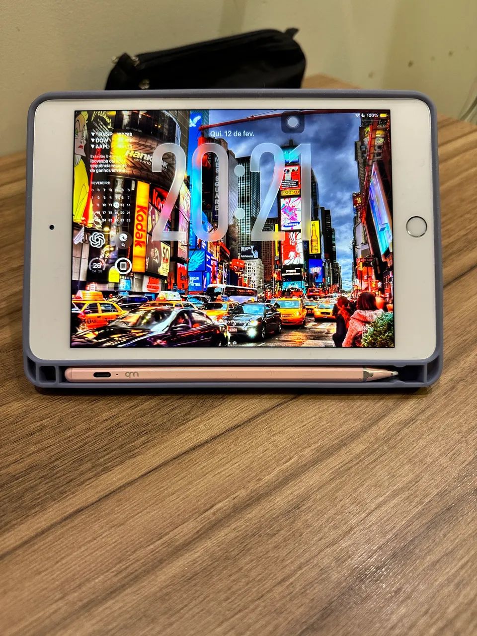 Ipad mini