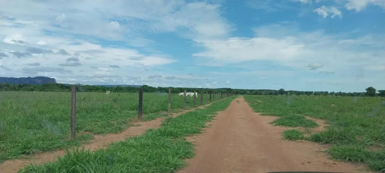 GILDO... VENDAS DE FAZENDAS  - Foto 2