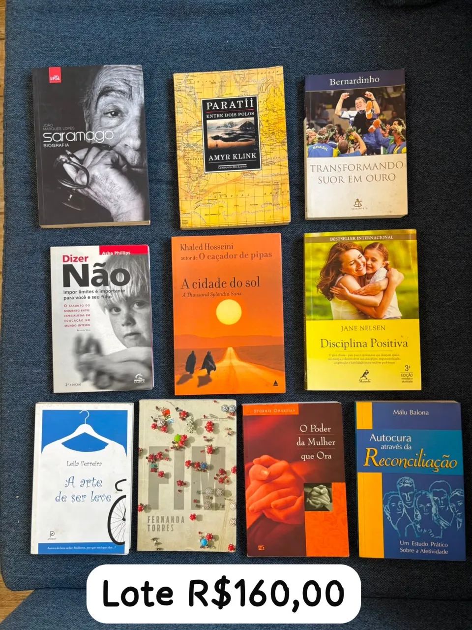 Lote livros