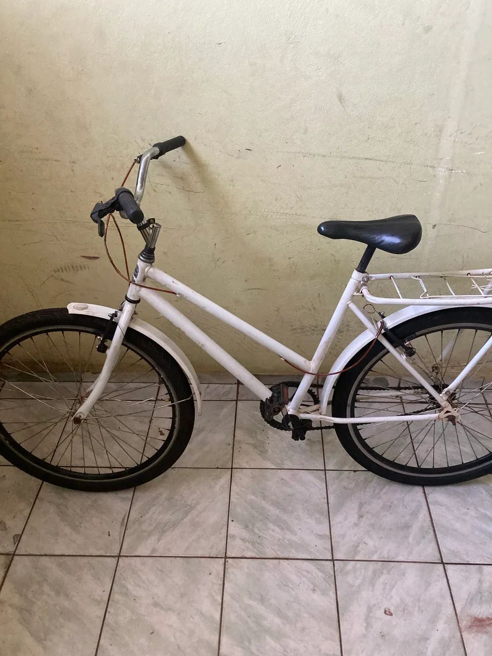 Poty aro 26 