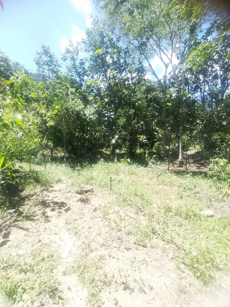 Foto - Duque de Caxias - Vila São Luís