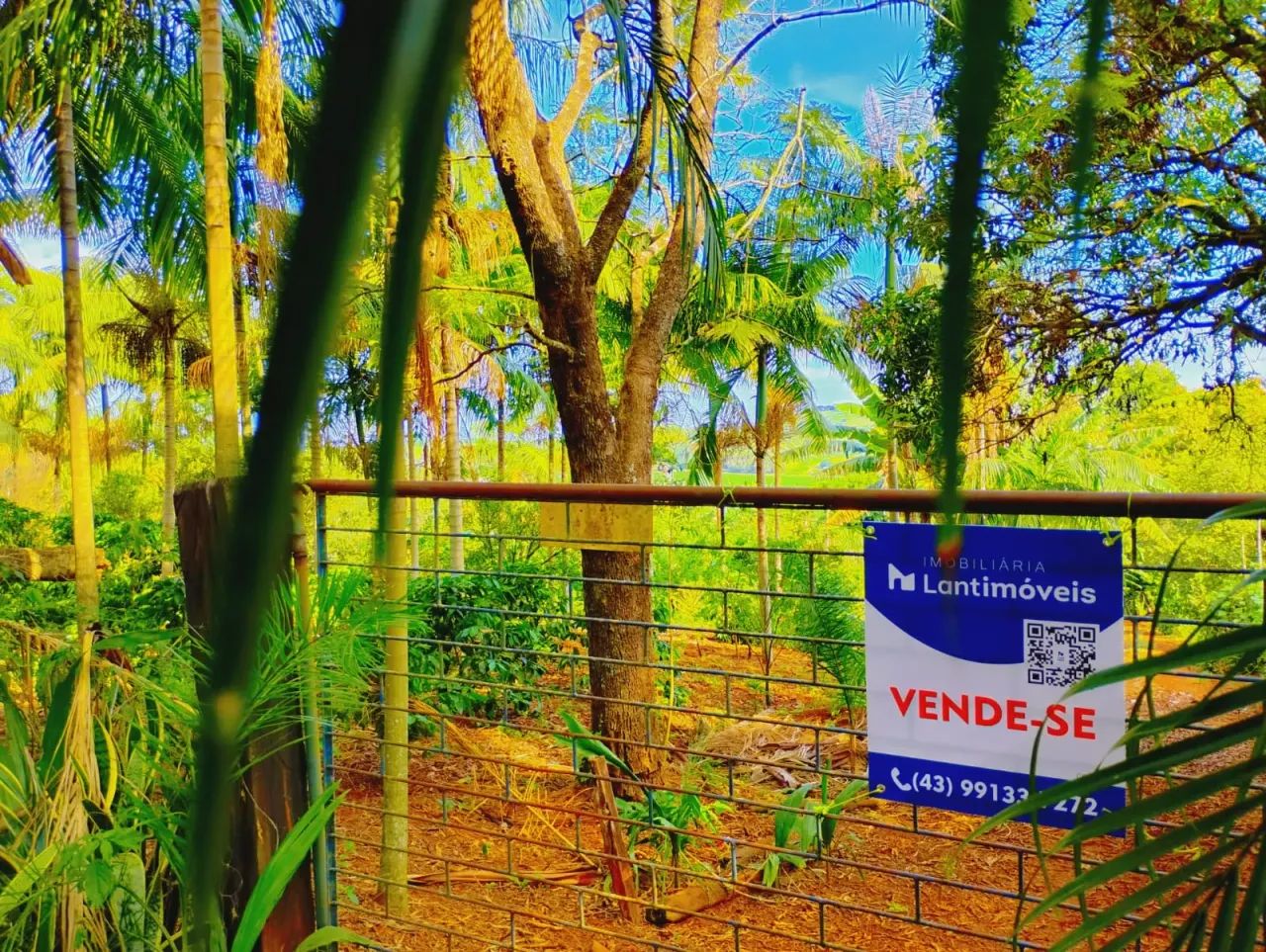 SITIO GUAIRACÁ