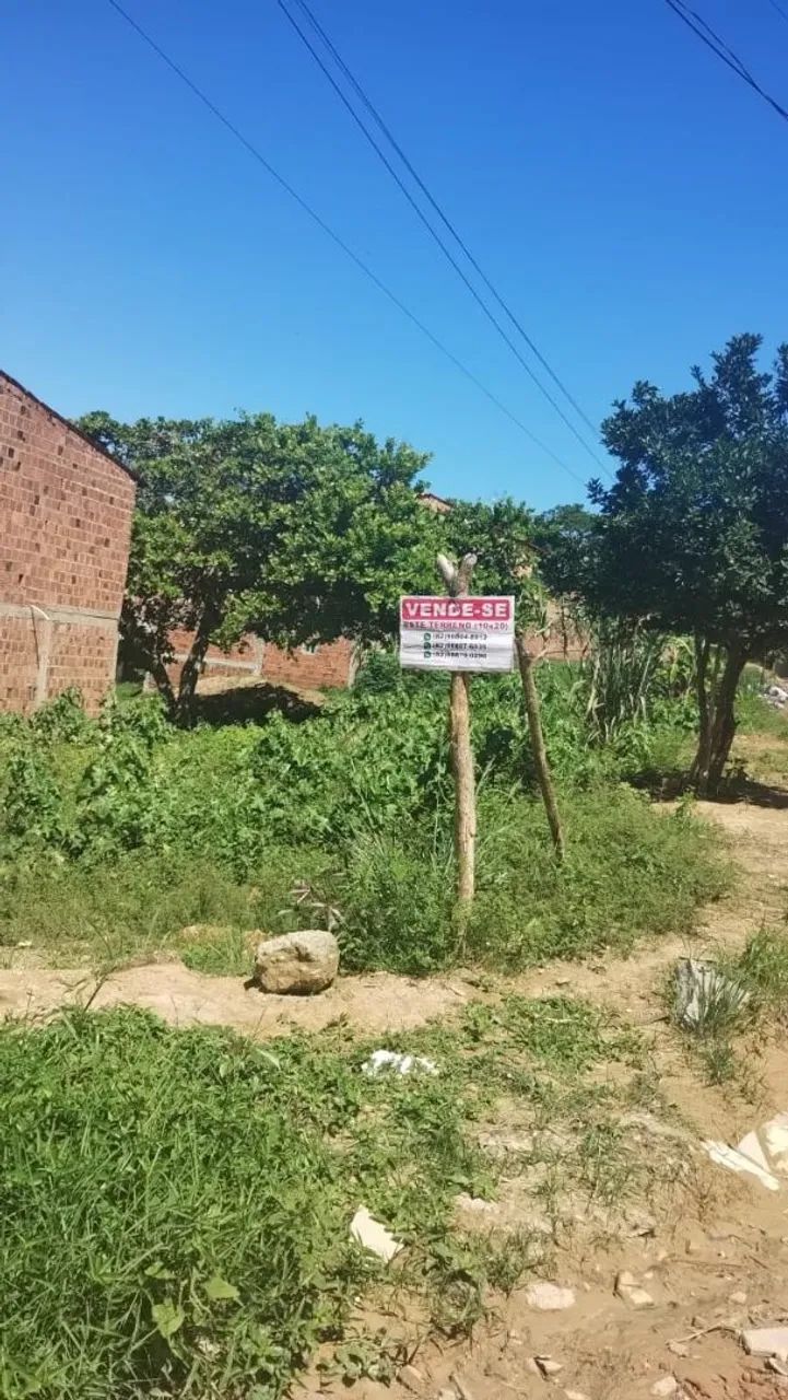 Vendo terreno em São Bento, Maragogi AL - Foto 4