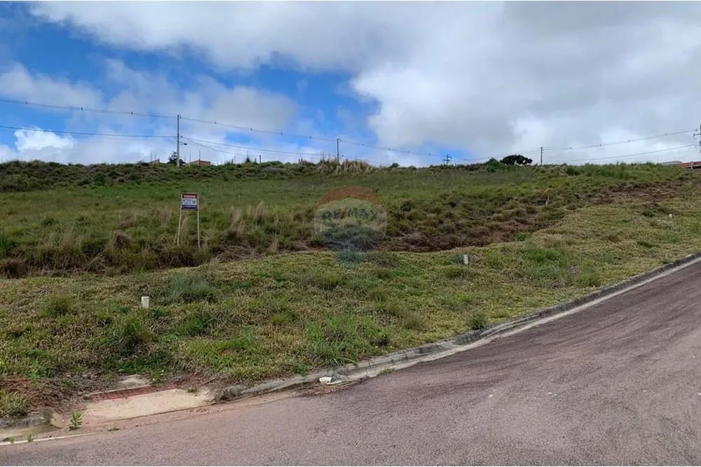 TERRENO - ECOPARK  QUATRO BARRAS - Foto 4