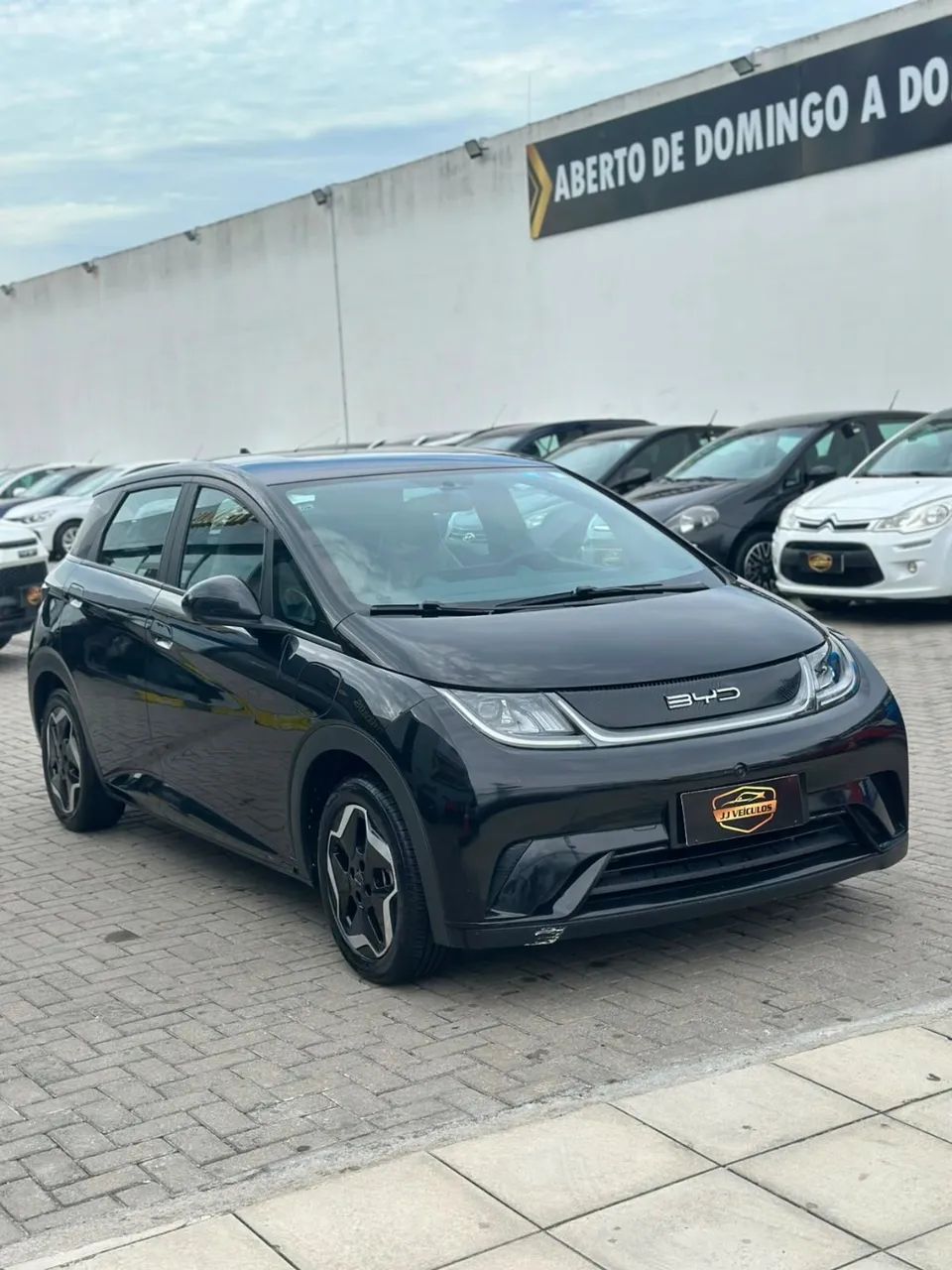 BYD Dolphin EV (Elétrico) 2024 - Foto 3