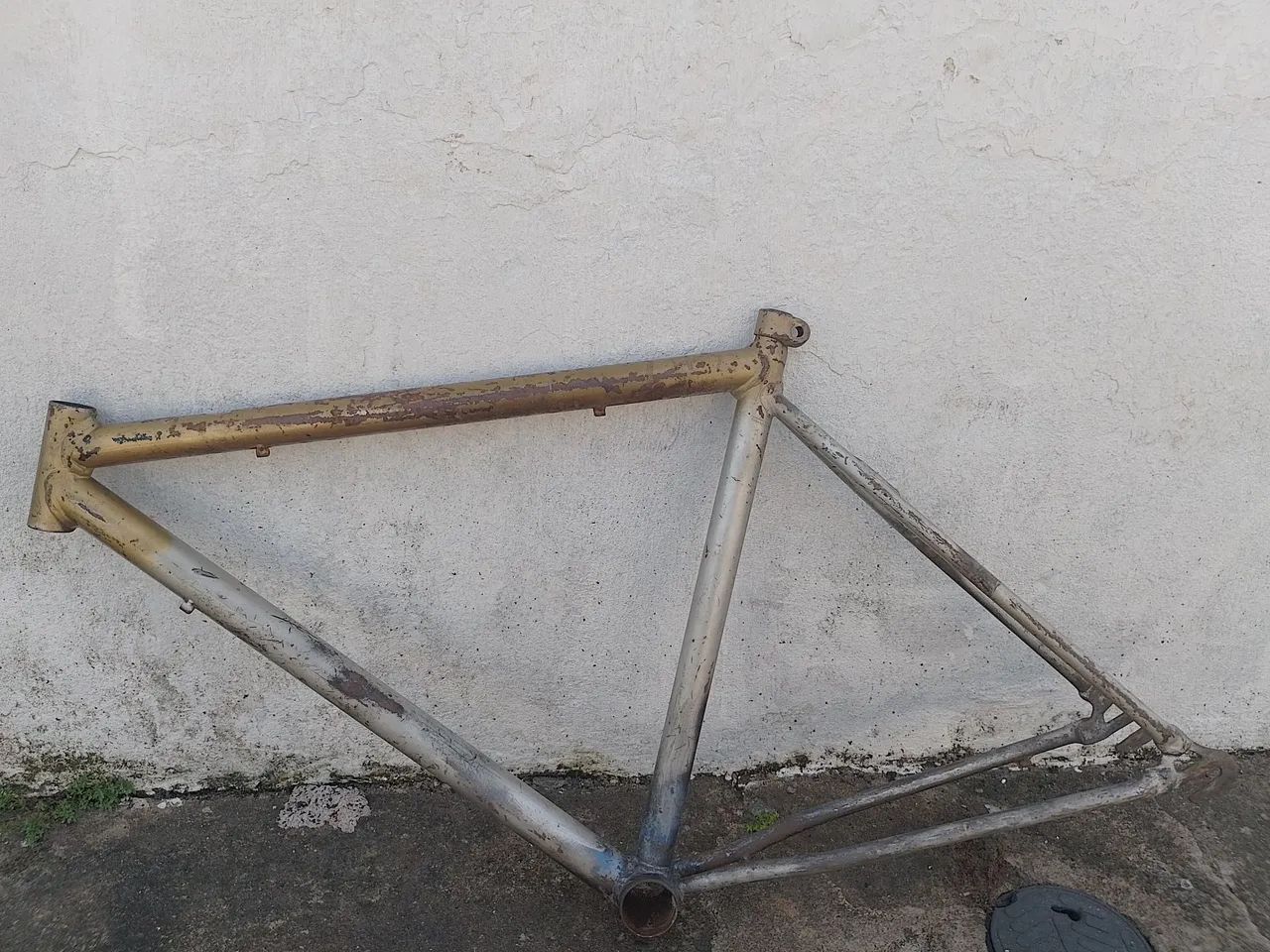 Quadro de bike labrador 