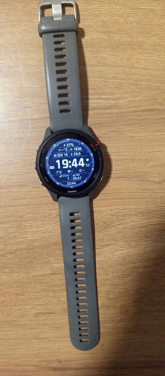 Garmin Forerunner 255