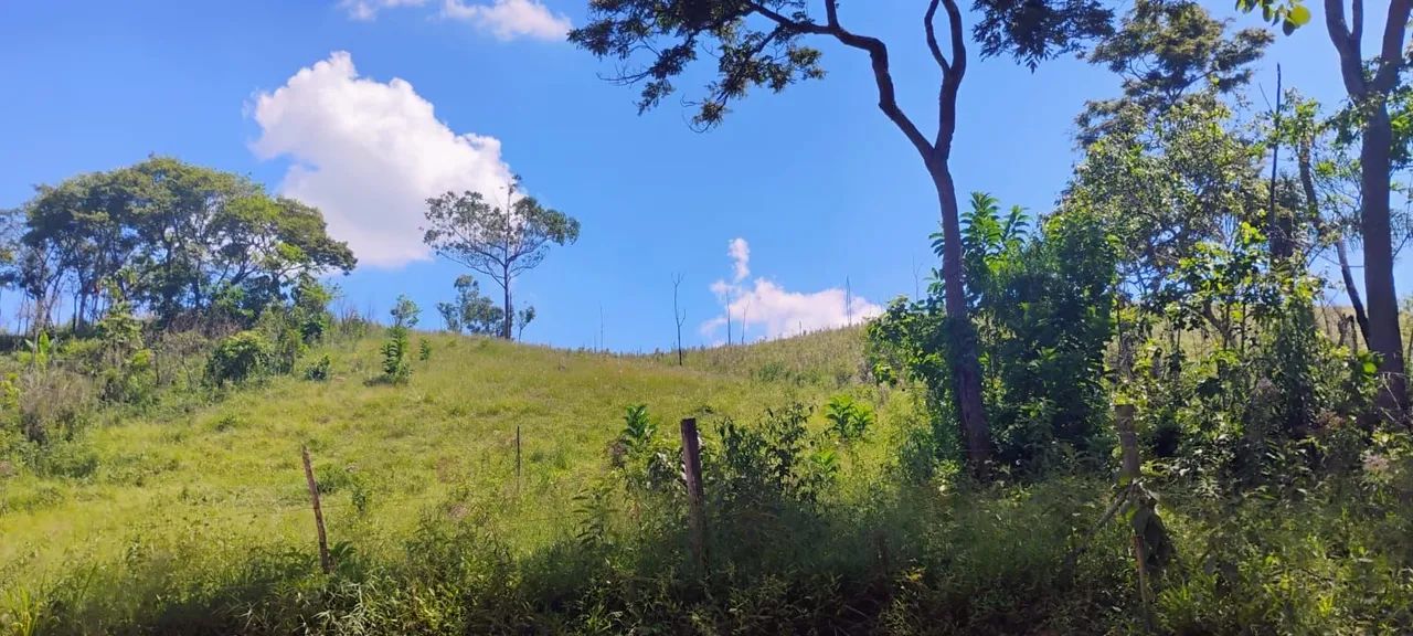 Foto - Itaquaquecetuba - Parque Piratininga