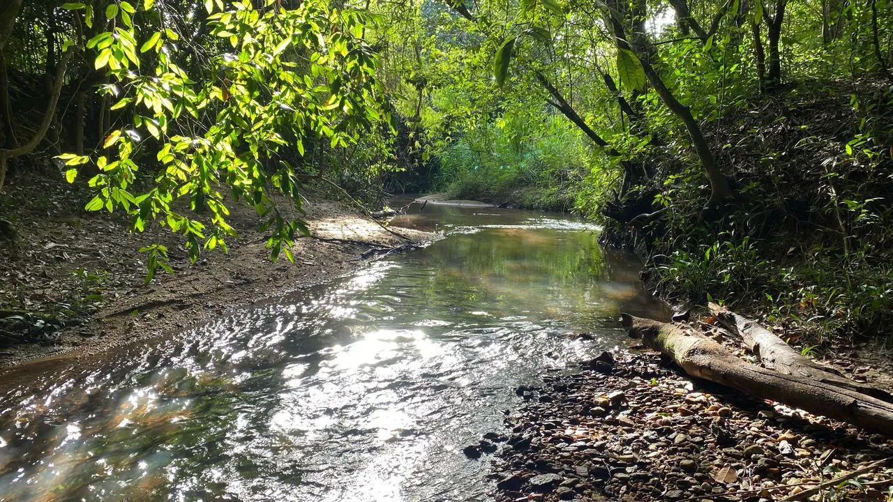 Chácara com rancho e córrego no fundo com 50mil de entrada! - Foto 3
