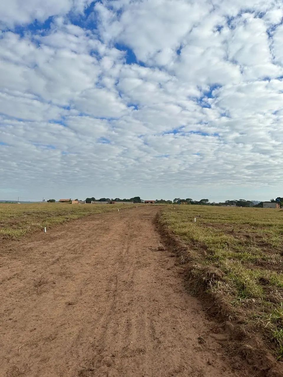 Terrenos  - Foto 2