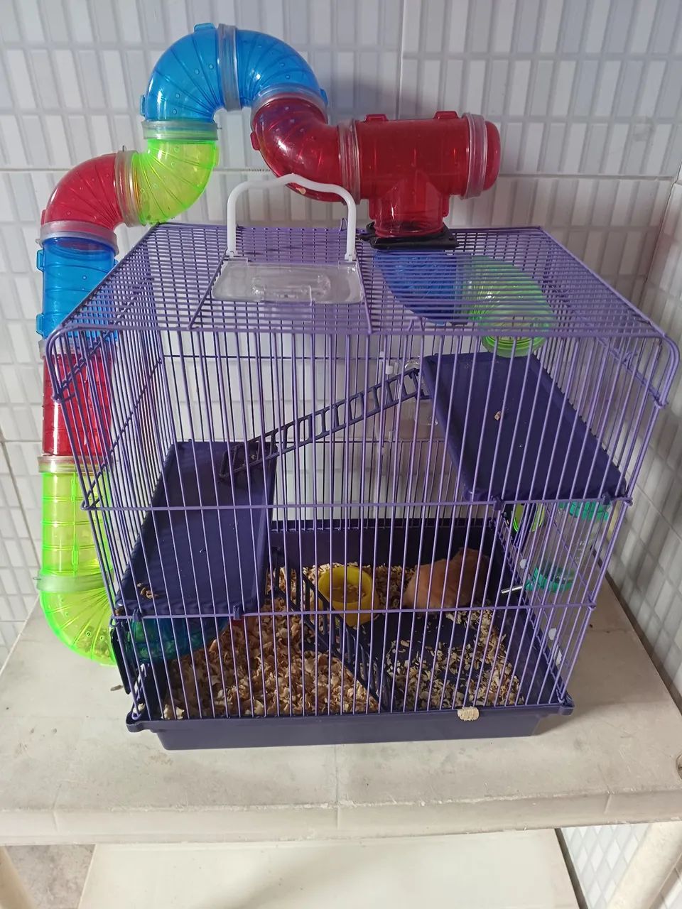 Vendo Hamster macho  - Foto 2