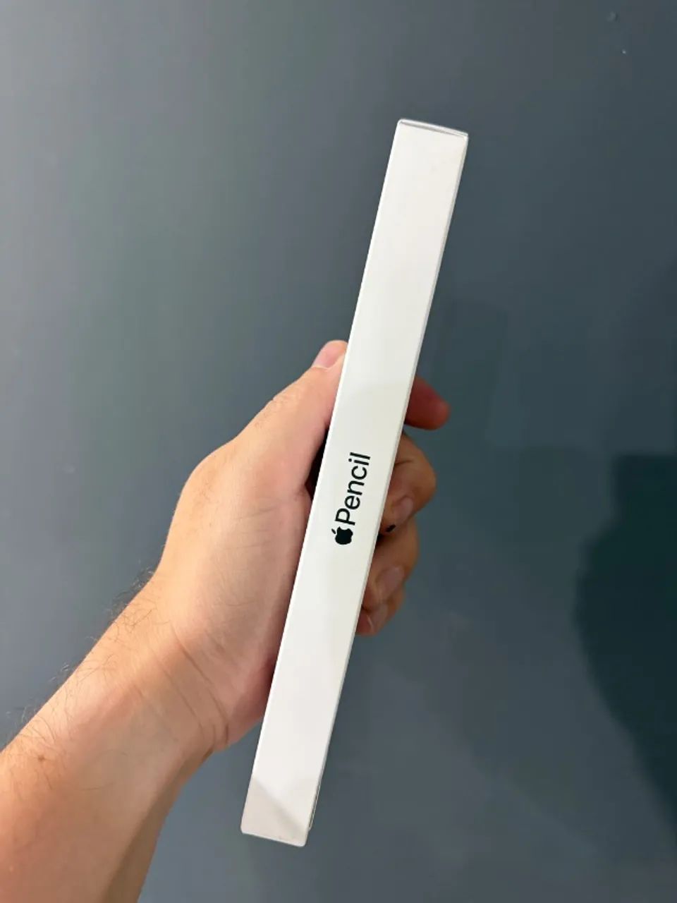 Apple Pencil USB-C, produto lacrado. Garantia Apple! - Acessórios