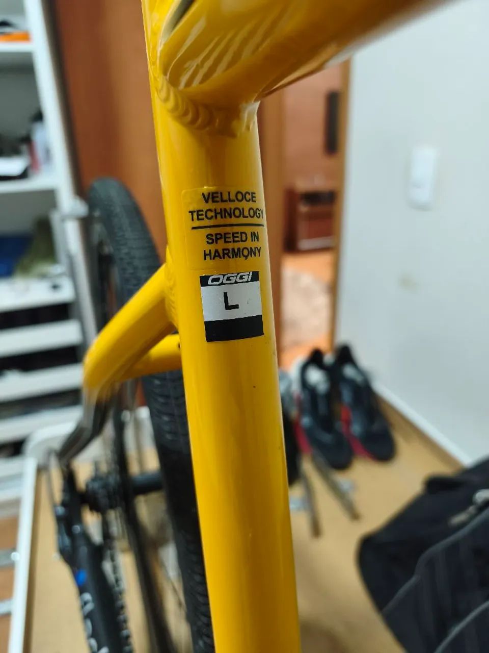 OGGI VELOCE  DISC 2024