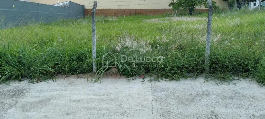 terreno - Parque São Quirino - Campinas - Foto 5