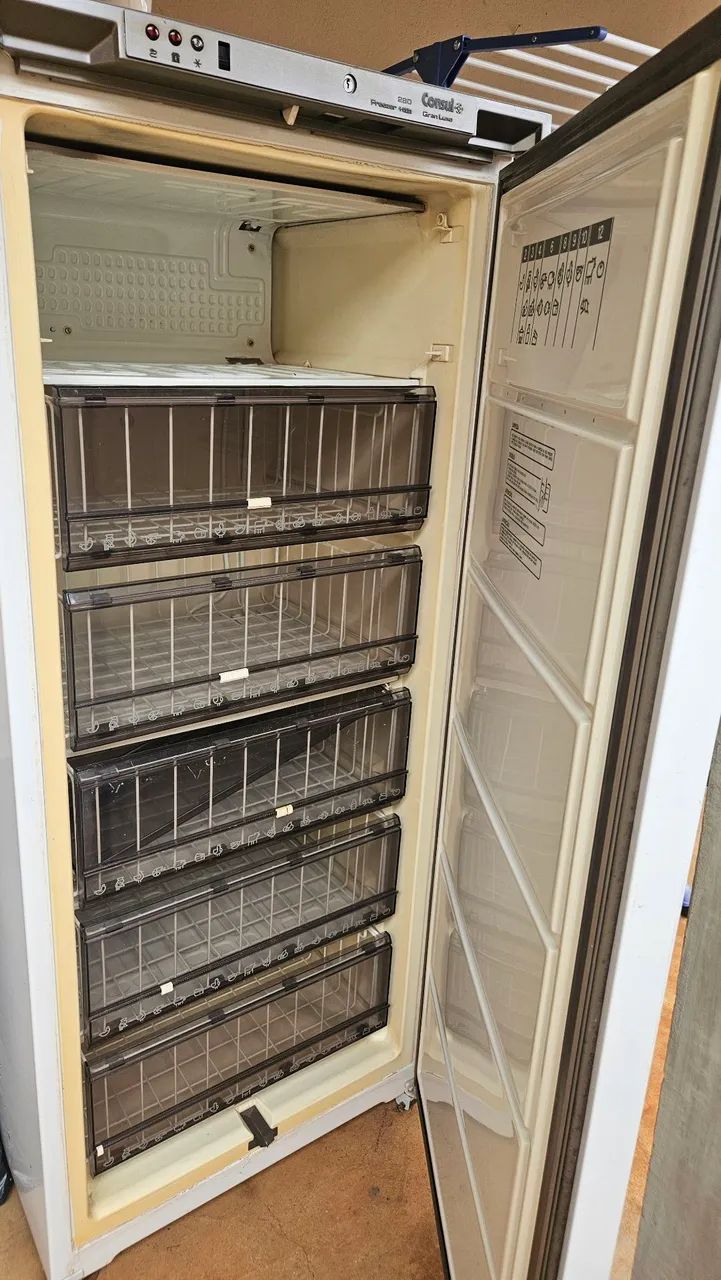 Frizer vertical