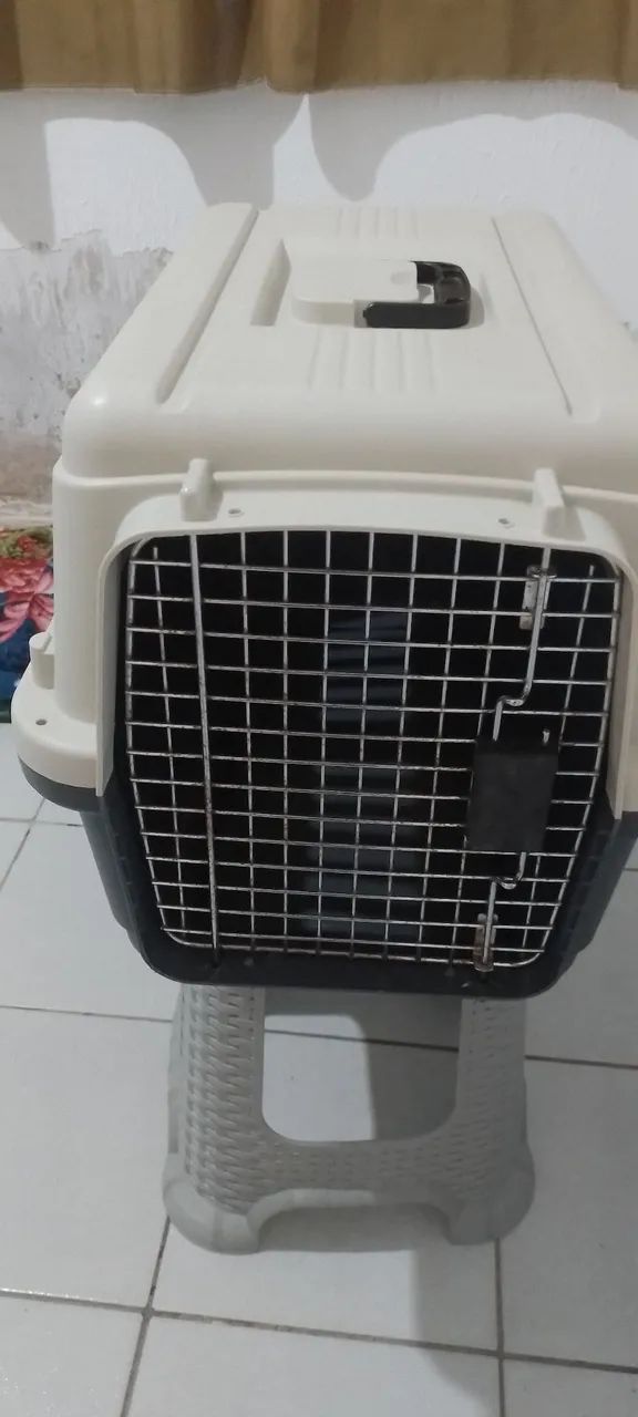 Caixa Transporte Pet - Foto 4