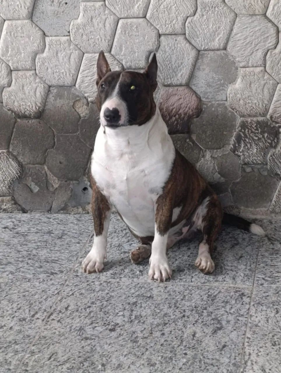 Doação  - Foto 2